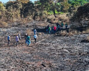 Verifican daños causados por incendio en la Reserva Banco San Miguel para análisis y propuestas de regeneración natural • PARAGUAY TV