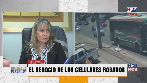 Diputada denuncia inacción del Estado contra la venta de celulares robados