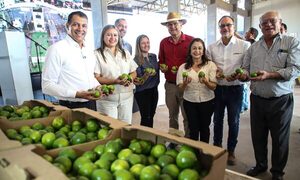 Paraguay exportó por primera vez limón Tahití de la mano de la agricultura familiar
