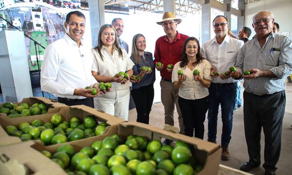 Paraguay exportó por primera vez limón Tahití de la mano de la agricultura familiar
