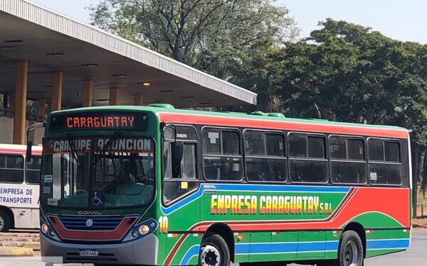 Dinatran abre sumario a la empresa de transporte tras la caída fatal de una pasajera