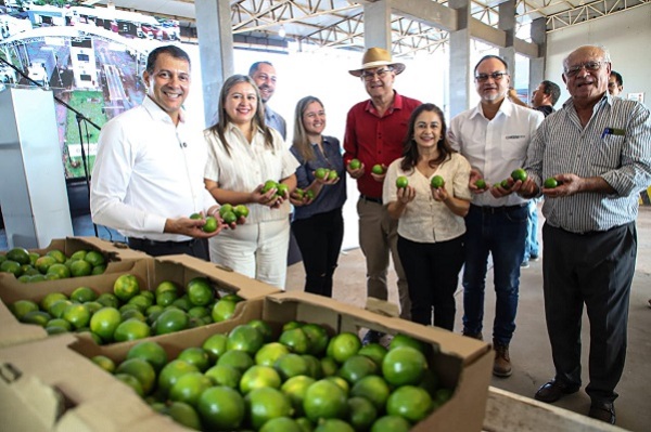 Paraguay exporta limón Tahití por primera vez: un hito para la agricultura familiar