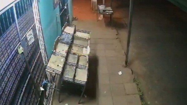 Chocó contra la estructura de una despensa y se dio a la fuga