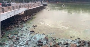 CDE: Proliferación de algas y basuras tiñen de verde el Lago de la República - ADN Digital