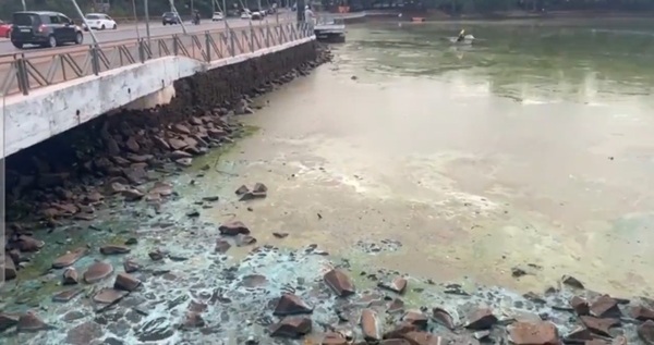 CDE: Proliferación de algas y basuras tiñen de verde el Lago de la República - ADN Digital