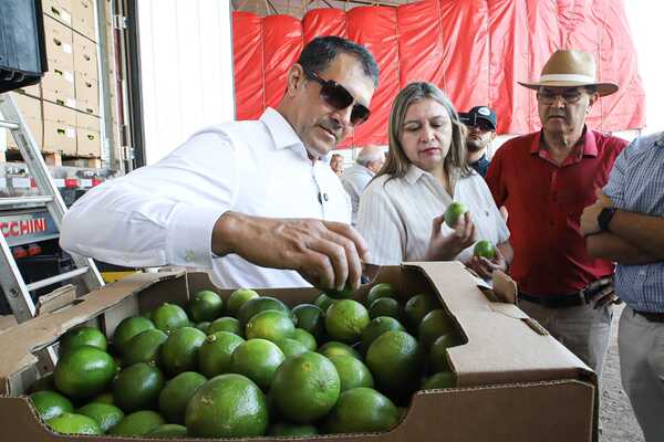Cultivo no tradicional se suma a las exportaciones frutihortícolas: Limón Tahití rumbo a la Argentina - MarketData
