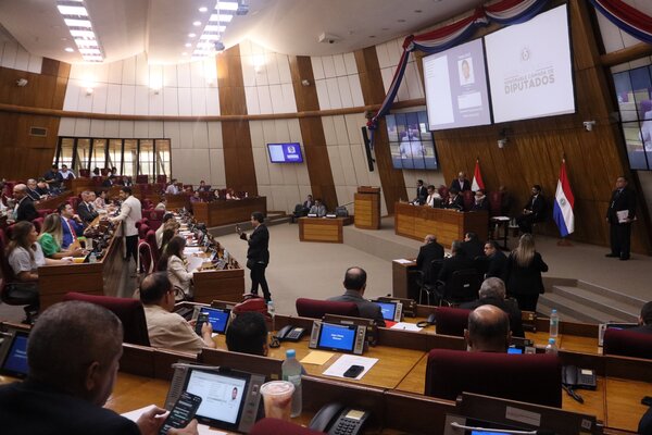 Diputados sancionó proyecto de Ley que modifica la APP - 1000 Noticias