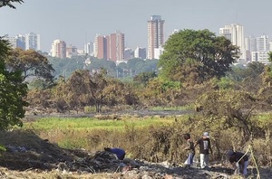 Declaran emergencia y cierre de la reserva San Miguel por un año