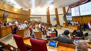 Diputados sancionan nueva Ley de APP en medio de controversias entre colorados