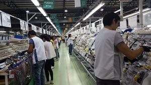 Fuga de talento joven: El 70% continúa buscando empleo en Paraguay