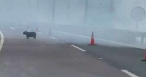La Nación / Reportan un voraz incendio en las inmediaciones del peaje de Ypacaraí
