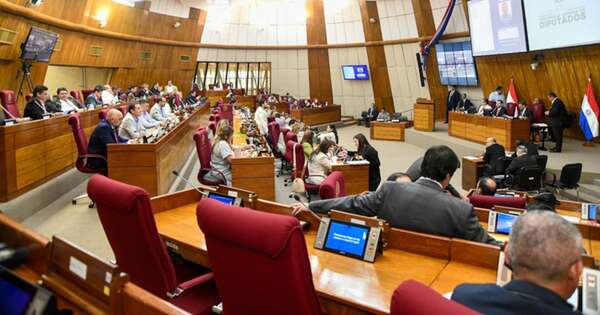 Diario HOY | Diputados sancionan proyecto que modifica la Ley para las alianzas público-privada