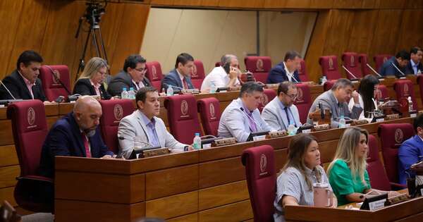 La Nación / Ley APP busca dinamizar y generar un marco más amplio de participación, destaca Latorre