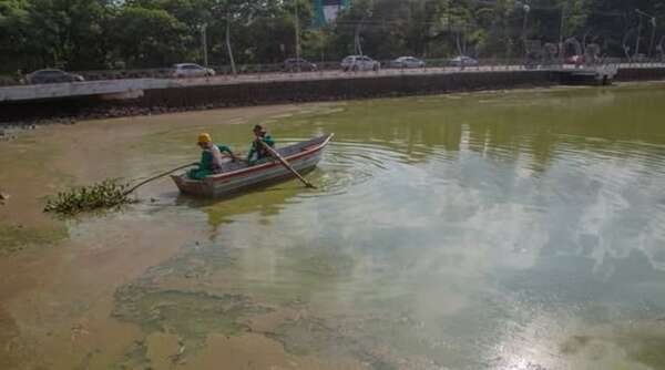 El lago de la República está verde: exceso de algas no generó contaminación, dicen - ABC en el Este - ABC Color