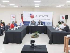 Aneaes inicia transmisión en vivo de sus sesiones, garantizando transparencia - Nacionales - ABC Color