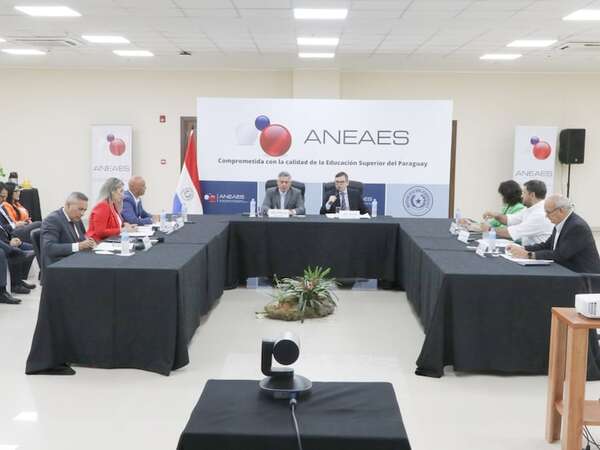 Aneaes inicia transmisión en vivo de sus sesiones, garantizando transparencia - Nacionales - ABC Color