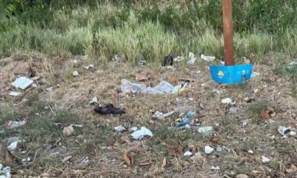 Parque Guasu: arquitecto lamenta estado de “uno de los pulmones de la ciudad”