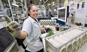 Ley 60/90 rompe récord en inversiones proyectadas y generación de empleo en el 2024