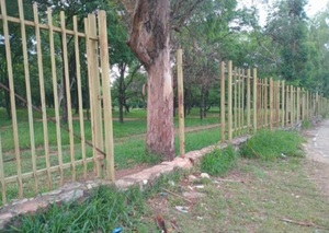 Abandono y deterioro amenazan al Jardín Botánico