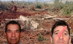 Maquinarias utilizadas en el crimen ambiental en Ñacunday serían de Nativo Rocha Da Lapa – Diario TNPRESS