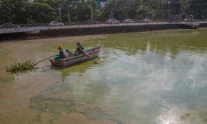 Determinan que aumento de temperatura y bajo nivel de agua causan el color verdoso del Lago – Diario TNPRESS