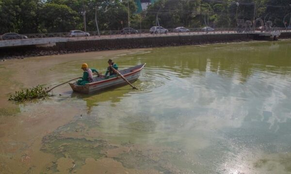 Determinan que aumento de temperatura y bajo nivel de agua causan el color verdoso del Lago – Diario TNPRESS