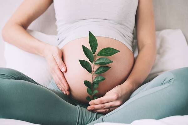 Nuevo mapa de recombinación genética ayudaría a entender mejor la fertilidad - Ciencia - ABC Color