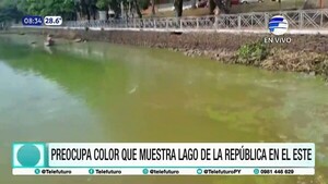 Color verdoso y hedor en el Lago de la República genera preocupación