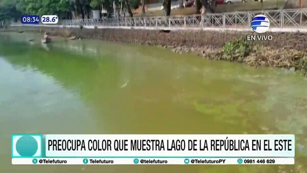 Color verdoso y hedor en el Lago de la República genera preocupación
