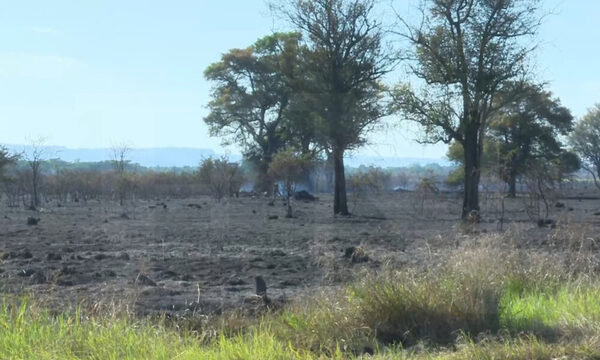 Tras nuevos incendios, piden conciencia a la ciudadanía