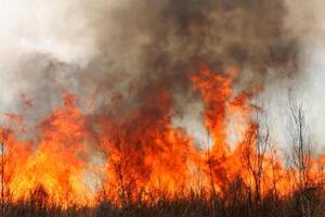 Alarmante cantidad de campos quemados por incendios