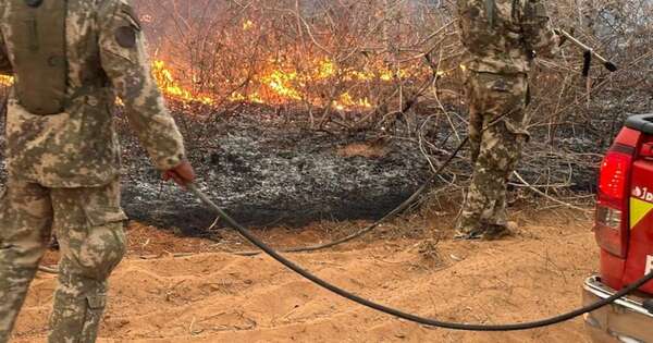 Diario HOY | Incendios arrasan con más de 65.000 hectáreas desde enero