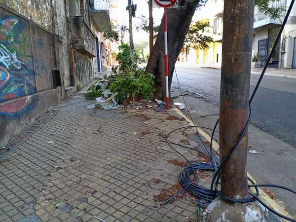 “Nenecho” se lava las manos sobre la basura en Asunción: así respondió a los reclamos ciudadanos - Política - ABC Color