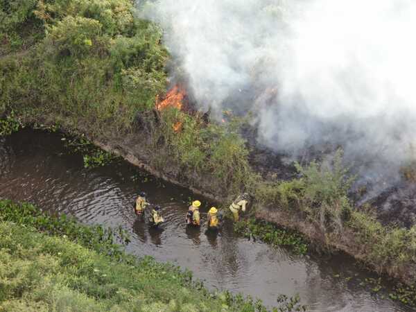 Plantean penas más duras para responsables de incendios - ADN Digital
