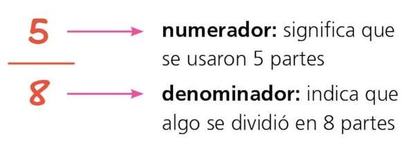 Los números decimales - Matemática Segundo Ciclo - ABC Color