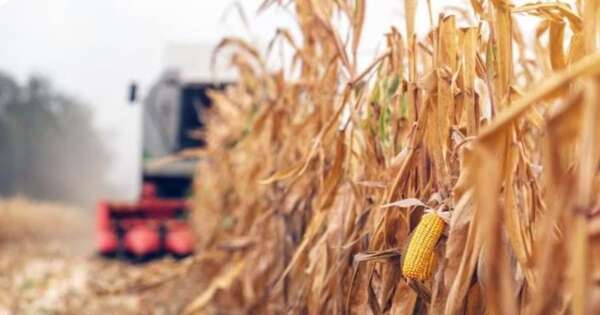 La Nación / Paraguay tendrá un buen crecimiento económico 2025, pero con riesgo a la baja por la sequía
