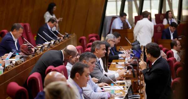 La Nación / Ley de APP será una herramienta para brindar soluciones al Ejecutivo, afirma diputado