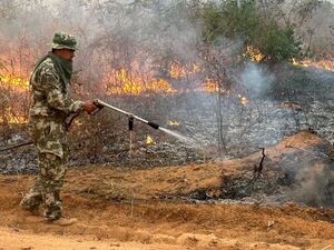 Al menos 29 incendios forestales asolan el centro de Paraguay en plena 茅poca de sequ铆a