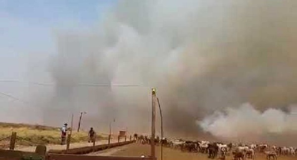 En dos meses Bomberos controlaron más de 1.500 focos de incendios