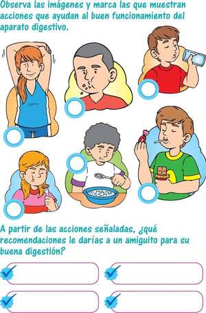Cuidados del aparato digestivo - Ciencias Naturales Segundo Ciclo - ABC Color