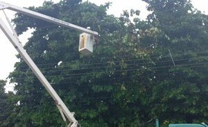 Varios barrios de Ciudad del Este y Pdte. Franco, sin electricidad  