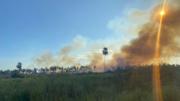 Presidente Peña se reunió con sus ministros para planificar trabajos contra incendios