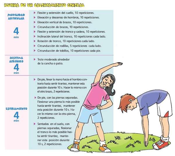 El calentamiento en Educación Física - Deportes y Salud - ABC Color