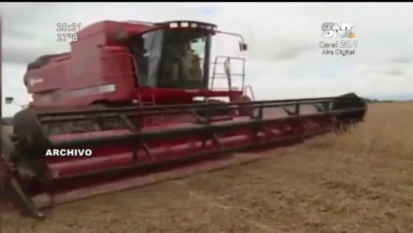 Producción de trigo: USD 71 millones más en 2024 - SNT