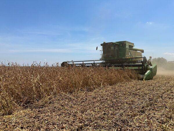 Argentina: gobierno anuncia baja temporal de las retenciones para el campo