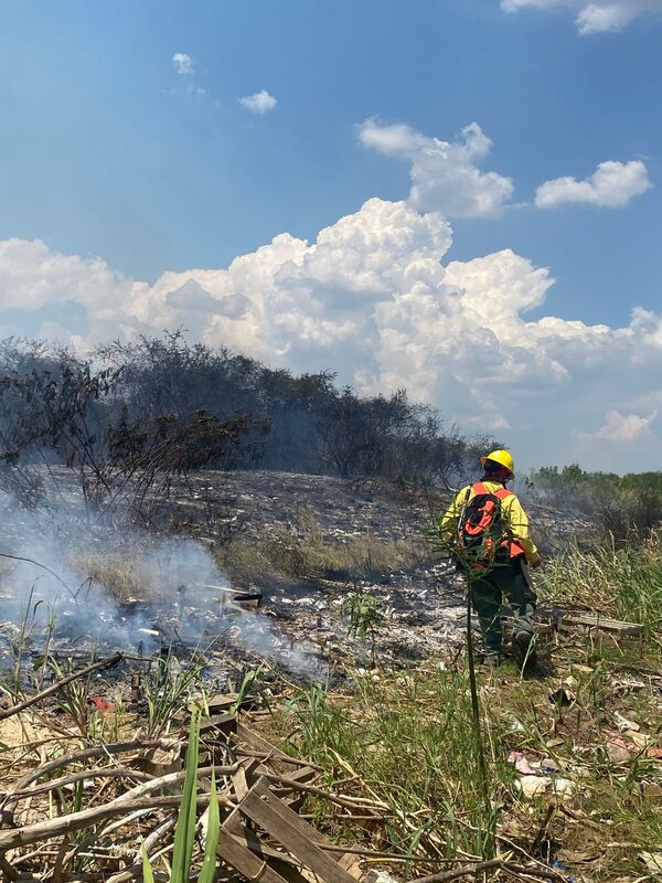 Sequía e incendios