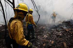 ¿Con cuántas hectáreas han arrasado los incendios forestales en Paraguay en lo que va del año? - Nacionales - ABC Color