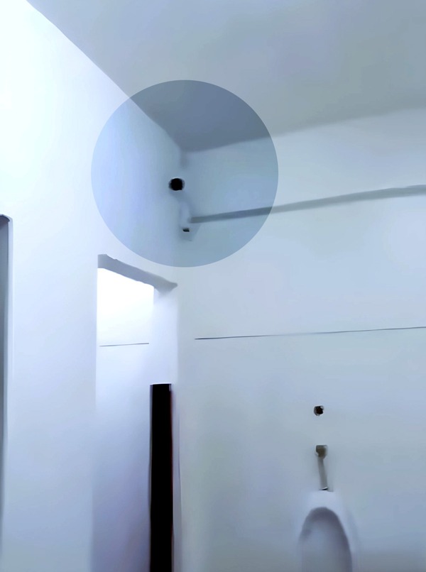 Empleado filtra video que evidencia que en Hoahi incluso hay cámaras en los sanitarios - La Clave