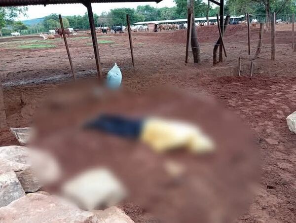 RAYO MATA A HOMBRE QUE METÍA AL CORRAL A SUS VACAS