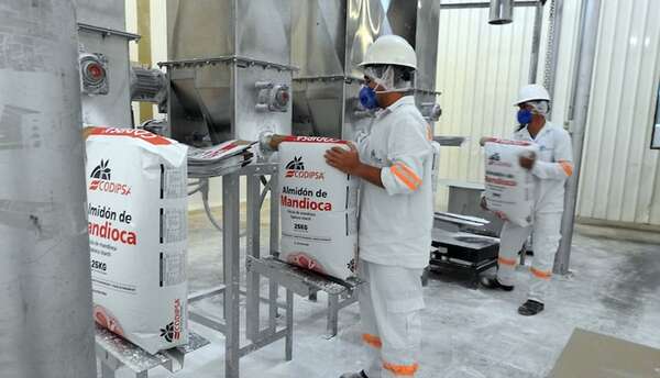 Exportaciones en Paraguay y la dinámica por principales mercados - Negocios - ABC Color